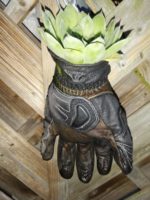 image00026